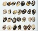 Lot: Polished Madagascar Black Opal Pendants - Pieces #138968-1